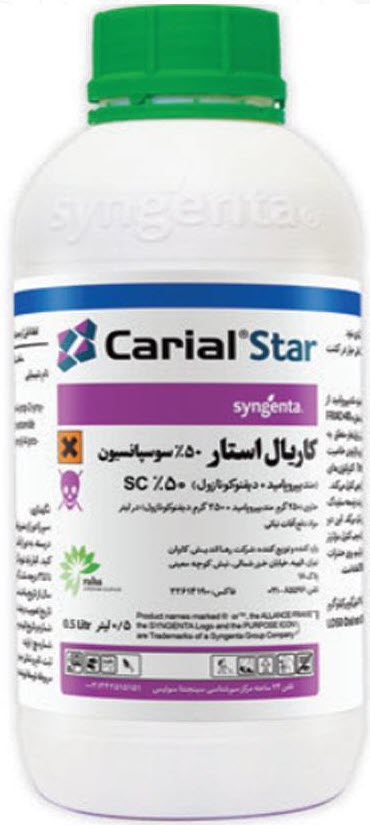 کاریال استار