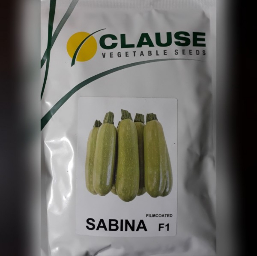 بذر صیفی جات